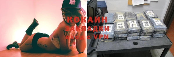 прущие грибы Белоозёрский