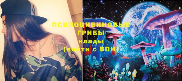 дмт Пестово
