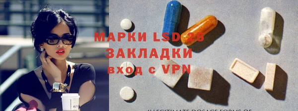прущие грибы Белоозёрский