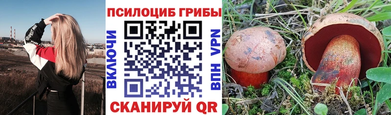 Купить  Апрелевка  Галлюциногенные грибы Magic Shrooms 